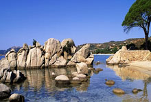 雷竞技官网：中超-古斯塔沃戴帽武磊传射 海港5-0海牛取13连胜.